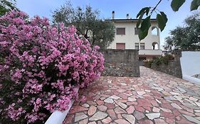 casa di Katia