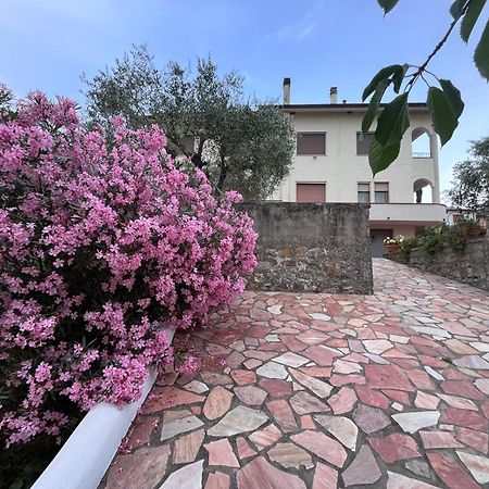 Appartamento casa di Katia Collesalvetti Esterno foto