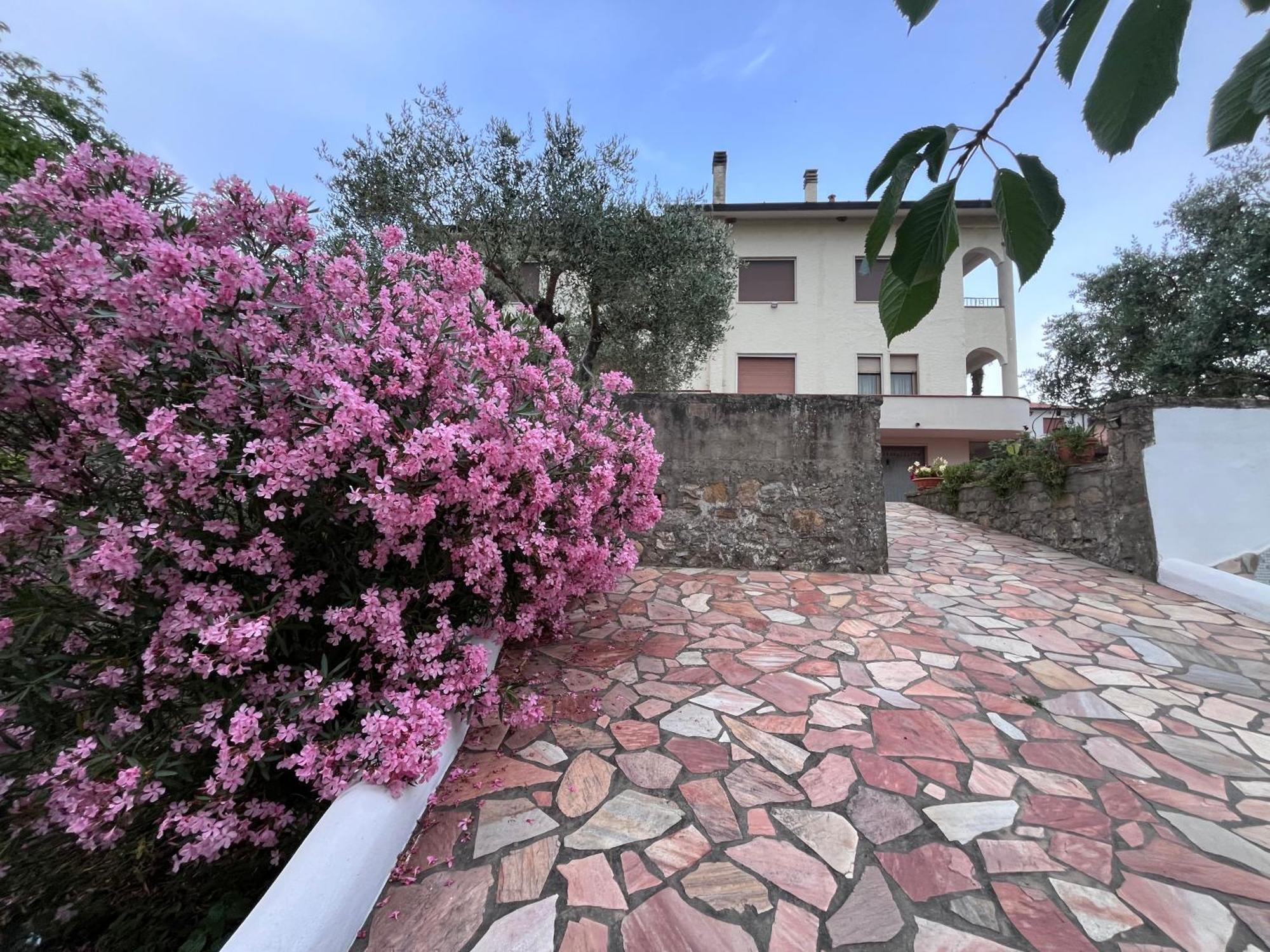 Appartamento casa di Katia Collesalvetti Esterno foto