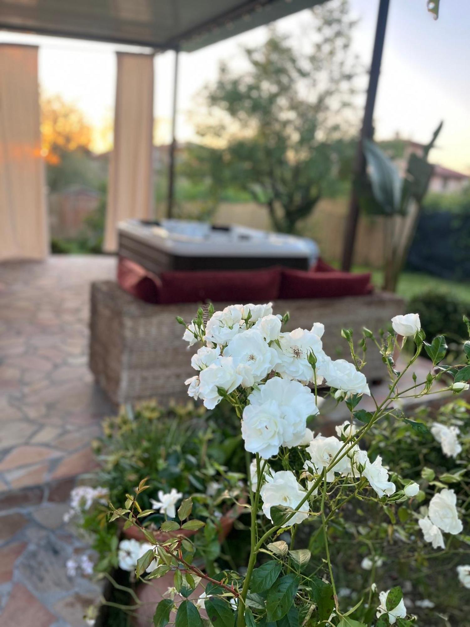 Appartamento casa di Katia Collesalvetti Esterno foto